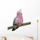 Galah bird - Eolophus roseicapilla (19 months) Wall Decal