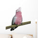 Galah bird - Eolophus roseicapilla (19 months) Wall Decal