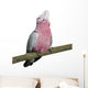 Galah bird - Eolophus roseicapilla (19 months) Wall Decal