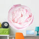 Closed Pale Pink Peony Wall Decal