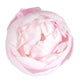 Closed Pale Pink Peony Wall Decal