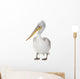 Dalmatian Pelican - Pelecanus crispus(18 months) Wall Decal