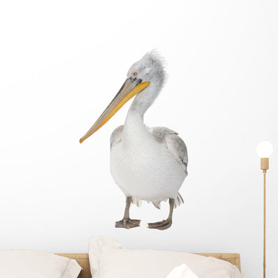 Dalmatian Pelican Wall Decal shown on a wall
