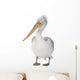 Dalmatian Pelican - Pelecanus crispus(18 months) Wall Decal