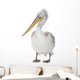 Dalmatian Pelican - Pelecanus crispus(18 months) Wall Decal
