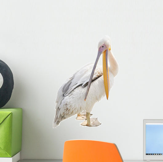 Big Beautiful White Pelican Wall Decal