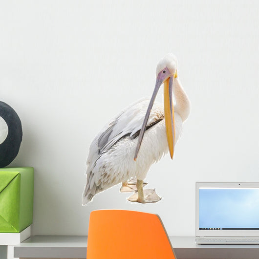 Big Beautiful White Pelican Wall Decal