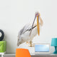 Big Beautiful White Pelican Wall Decal