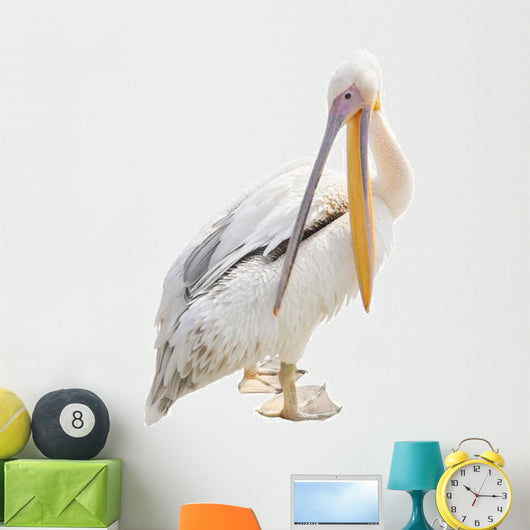 Big Beautiful White Pelican Wall Decal