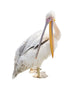 Big Beautiful White Pelican Wall Decal