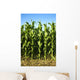 Corn Field Wall Mural