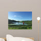 Male runner on path around lake Wall Mural