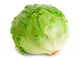 Cabbage Lettuce Wall Decal
