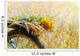 Summer flowers Wall Mural