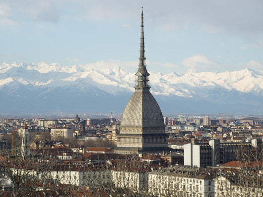 Turin, Italy Wall Mural