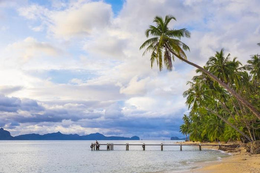 Palm Trees Dolarog Beach Wall Decal