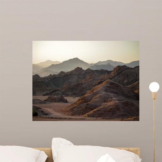 Meat Cooking Barbecue Wall Decal