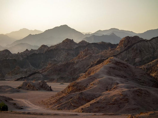 Meat Cooking Barbecue Wall Decal