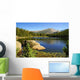 Rocky Mountain National Park Wall Decal