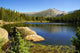 Rocky Mountain National Park Wall Decal