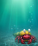 Crab Wall Mural