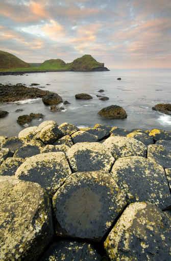 Giants Causeway Wall Decal