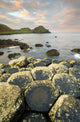 Giants Causeway Wall Decal