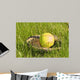 Ball and Glove Wall Mural