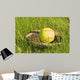 Ball and Glove Wall Mural