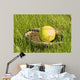 Ball and Glove Wall Mural