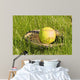 Ball and Glove Wall Mural