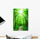 Nature Path in Forest With Sunshine Wall Mural