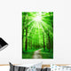 Nature Path in Forest With Sunshine Wall Mural