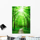 Nature Path in Forest With Sunshine Wall Mural
