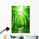 Nature Path in Forest With Sunshine Wall Mural