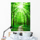 Nature Path in Forest With Sunshine Wall Mural