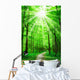 Nature Path in Forest With Sunshine Wall Mural