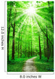 Nature Path in Forest With Sunshine Wall Mural