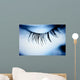 Great Eye Macro Wall Mural