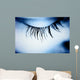 Great Eye Macro Wall Mural