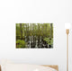 blackwater swamp cypress trees reflected Wall Mural