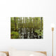 blackwater swamp cypress trees reflected Wall Mural
