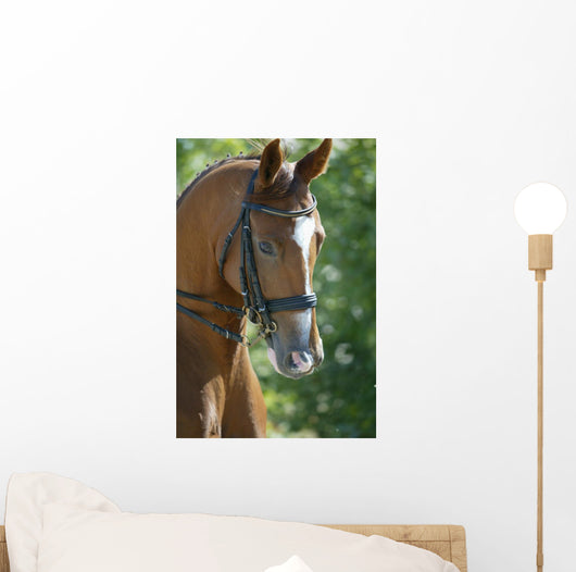 Horse Head 3 Wall Mural