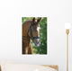 Horse Head 3 Wall Mural