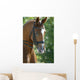 Horse Head 3 Wall Mural