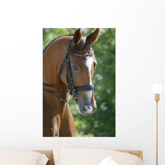 Horse Head 3 Wall Mural
