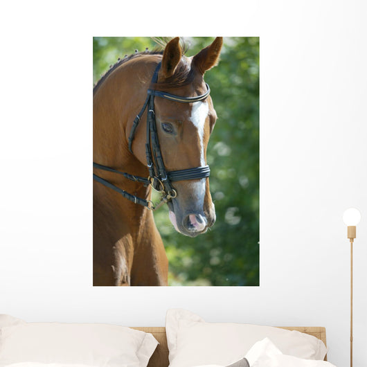 Horse Head 3 Wall Mural