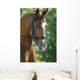 Horse Head 3 Wall Mural
