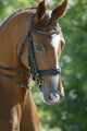 Horse Head 3 Wall Mural