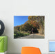 Man running on country road with autumn leaves Wall Mural